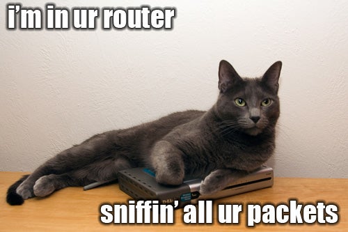 cat_packet_sniffin